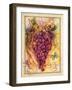 Valley Vines 3-Patricia Haberler-Framed Art Print