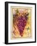 Valley Vines 3-Patricia Haberler-Framed Art Print