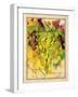 Valley Vines 4-Patricia Haberler-Framed Art Print