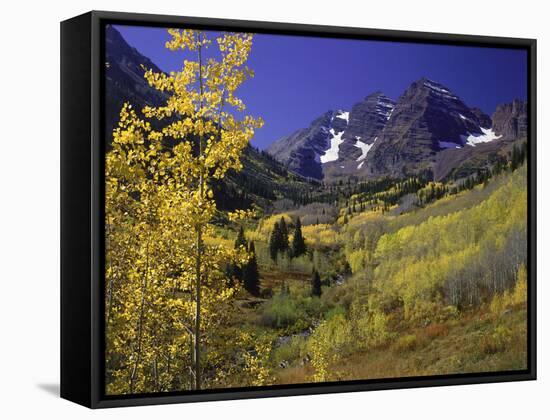 Valley with Autumn Foliage, Maroon Bells, CO-David Carriere-Framed Stretched Canvas