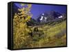 Valley with Autumn Foliage, Maroon Bells, CO-David Carriere-Framed Stretched Canvas