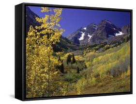 Valley with Autumn Foliage, Maroon Bells, CO-David Carriere-Framed Stretched Canvas