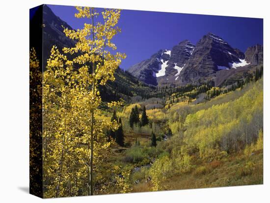Valley with Autumn Foliage, Maroon Bells, CO-David Carriere-Stretched Canvas