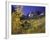 Valley with Autumn Foliage, Maroon Bells, CO-David Carriere-Framed Photographic Print