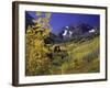 Valley with Autumn Foliage, Maroon Bells, CO-David Carriere-Framed Photographic Print