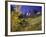 Valley with Autumn Foliage, Maroon Bells, CO-David Carriere-Framed Photographic Print