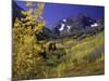 Valley with Autumn Foliage, Maroon Bells, CO-David Carriere-Mounted Photographic Print