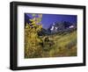 Valley with Autumn Foliage, Maroon Bells, CO-David Carriere-Framed Photographic Print