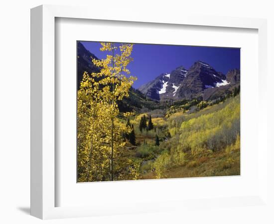 Valley with Autumn Foliage, Maroon Bells, CO-David Carriere-Framed Photographic Print