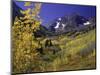 Valley with Autumn Foliage, Maroon Bells, CO-David Carriere-Mounted Photographic Print