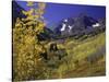 Valley with Autumn Foliage, Maroon Bells, CO-David Carriere-Stretched Canvas