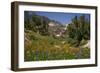 Valley with Wildflowers, Yosemite National Park, California., 1970S (Photo)-Dean Conger-Framed Giclee Print