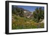 Valley with Wildflowers, Yosemite National Park, California., 1970S (Photo)-Dean Conger-Framed Giclee Print