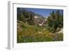 Valley with Wildflowers, Yosemite National Park, California., 1970S (Photo)-Dean Conger-Framed Giclee Print