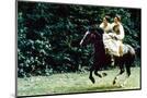 Wood Mount