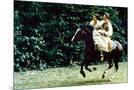 Wood Mount