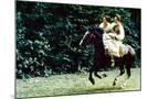 Wood Mount