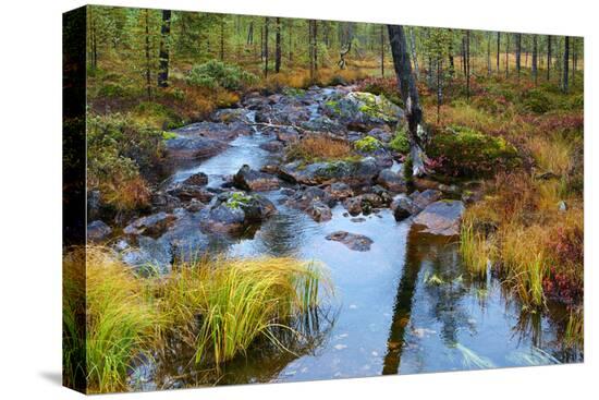 Stretched Canvas Print, , large