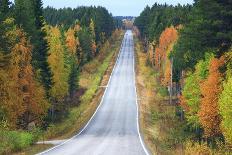 Road in Fall-Valoor-Photographic Print