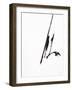 Valor VI-Joshua Schicker-Framed Giclee Print