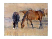 Southern Horses-Valtcho Tonov-Framed Art Print