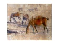 Southern Horses-Valtcho Tonov-Framed Art Print