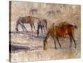 Stretched Canvas
