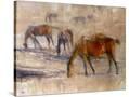 Stretched Canvas