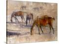 Stretched Canvas