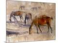 Wood Mount