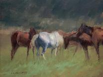 Southern Horses-Valtcho Tonov-Art Print