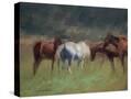 Stretched Canvas