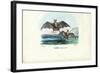 Vampire Bat, 1863-79-Raimundo Petraroja-Framed Giclee Print