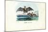 Vampire Bat, 1863-79-Raimundo Petraroja-Mounted Giclee Print