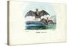 Vampire Bat, 1863-79-Raimundo Petraroja-Stretched Canvas