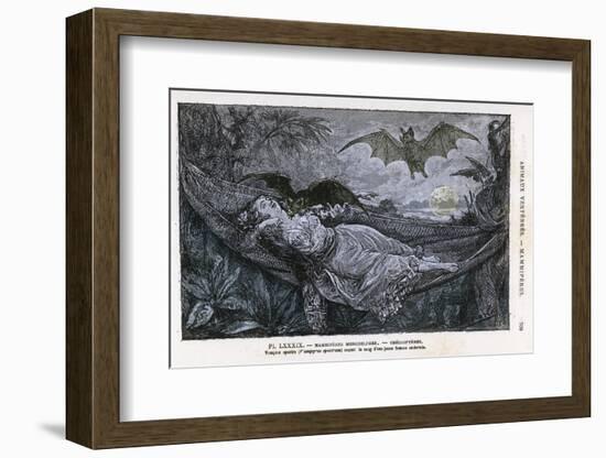 Vampire Bat Bites the Neck of a Sleeping Girl in as Hammock-null-Framed Photographic Print