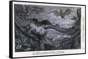 Vampire Bat Bites the Neck of a Sleeping Girl in as Hammock-null-Framed Stretched Canvas