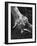 Vampire Bat Cleaning Itself-J^ R^ Eyerman-Framed Photographic Print