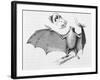 Vampire Bat (Desmodus d'Orbignyi) Caught at the Back of Darwin's House in Chile South America-R.t. Pritchett-Framed Art Print