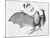 Vampire Bat (Desmodus d'Orbignyi) Caught at the Back of Darwin's House in Chile South America-R.t. Pritchett-Mounted Art Print
