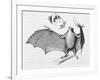 Vampire Bat (Desmodus d'Orbignyi) Caught at the Back of Darwin's House in Chile South America-R.t. Pritchett-Framed Art Print