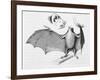 Vampire Bat (Desmodus d'Orbignyi) Caught at the Back of Darwin's House in Chile South America-R.t. Pritchett-Framed Art Print