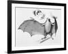 Vampire Bat (Desmodus d'Orbignyi) Caught at the Back of Darwin's House in Chile South America-R.t. Pritchett-Framed Art Print