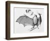 Vampire Bat (Desmodus d'Orbignyi) Caught at the Back of Darwin's House in Chile South America-R.t. Pritchett-Framed Art Print