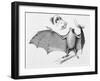 Vampire Bat (Desmodus d'Orbignyi) Caught at the Back of Darwin's House in Chile South America-R.t. Pritchett-Framed Art Print