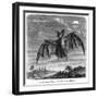 Vampire Bat-null-Framed Art Print