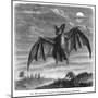 Vampire Bat-null-Mounted Art Print