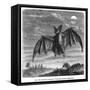 Vampire Bat-null-Framed Stretched Canvas
