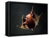 Vampire Squid Going into Opineappleo Defense Posture-null-Framed Stretched Canvas