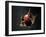 Vampire Squid Going into Opineappleo Defense Posture-null-Framed Premium Photographic Print